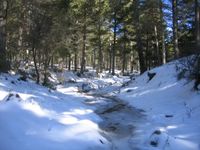 Spanish courses in Granada & Hiking in Sierra Nevada