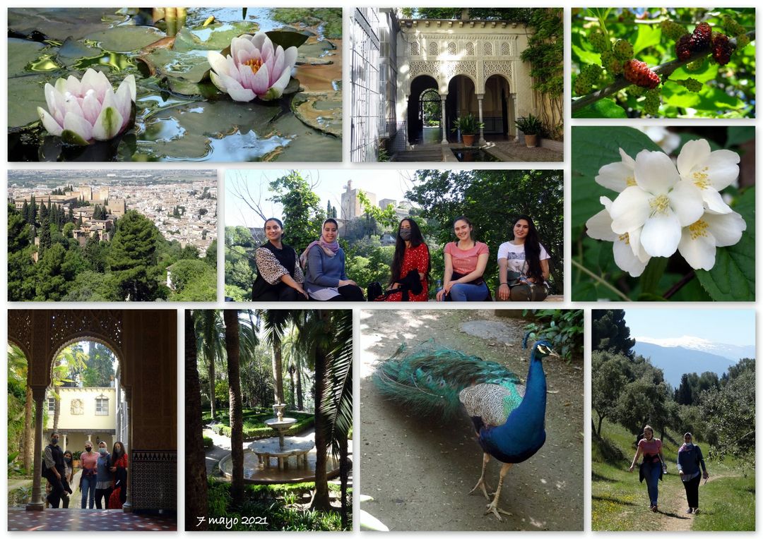 Guided visit to the Carmen de los Martires, Granada
