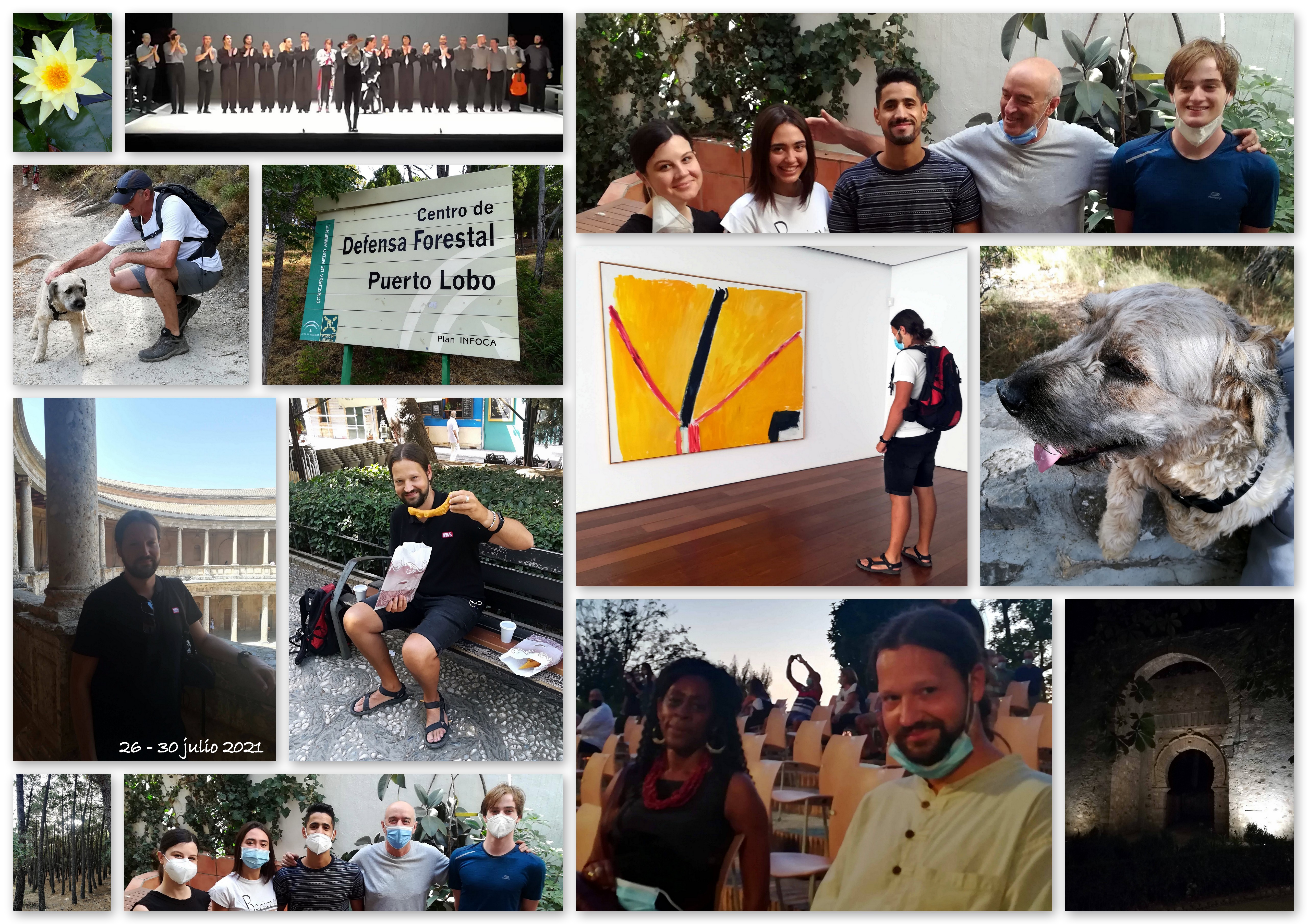 Spanish courses and cultural activities in Granada