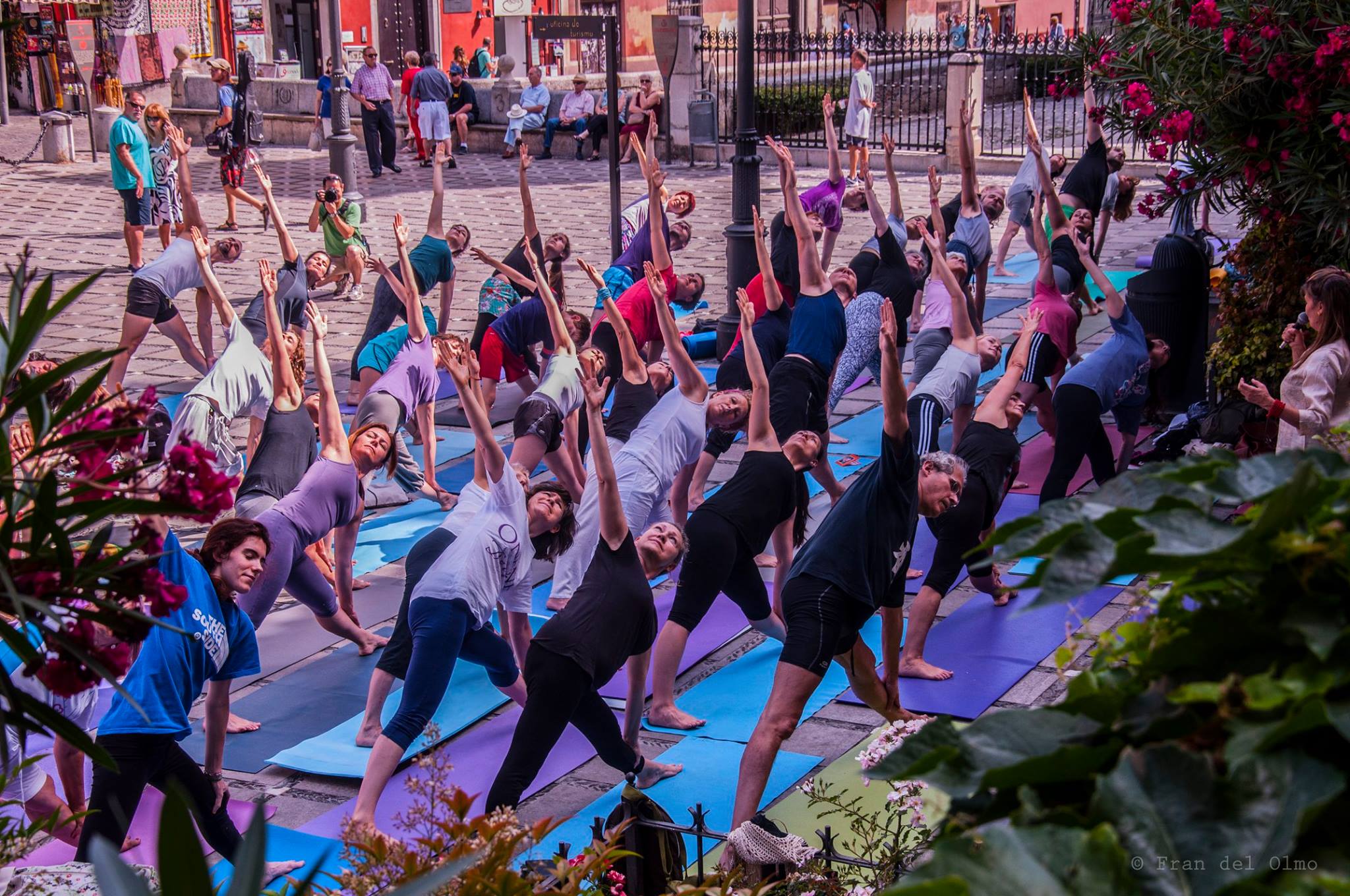 Spanish and Yoga in Granada