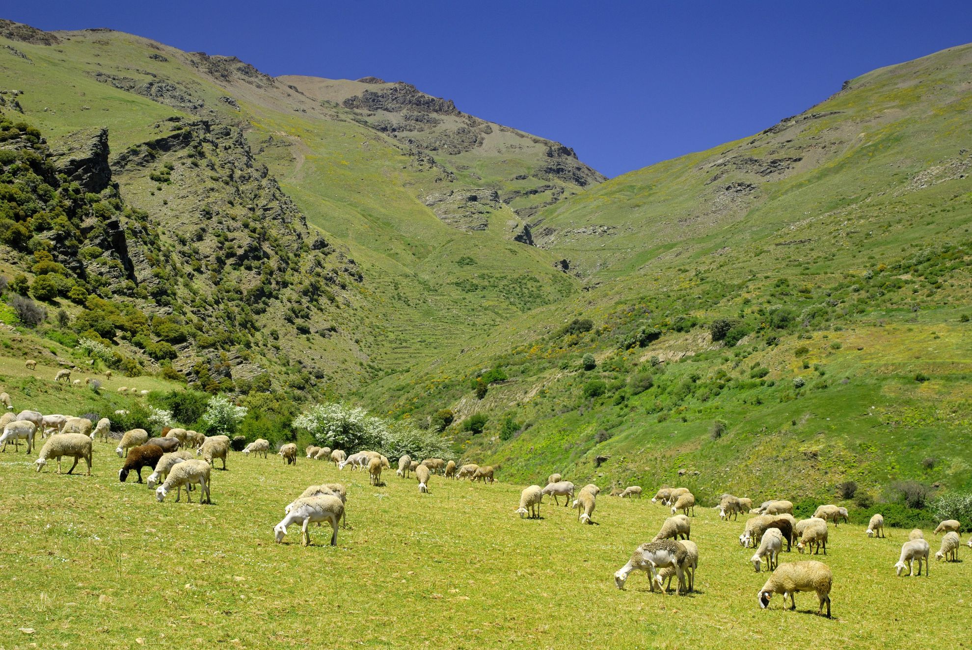 Sierra Nevada, Spain