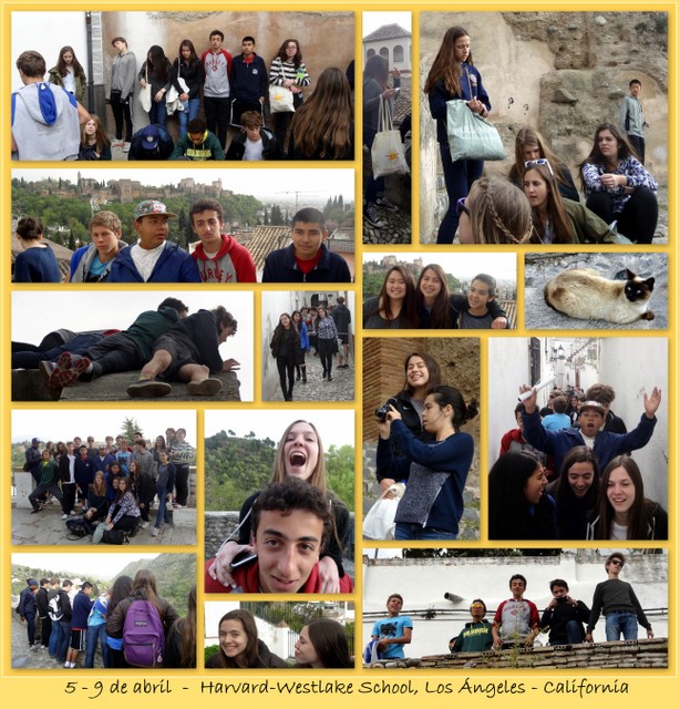 Learning Spanish at Escuela Montalbán