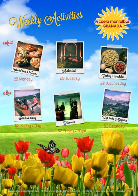 Spanish & Culture at Escuela Montalban