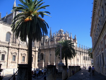 Guided trip to Seville