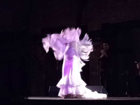 Flamenco en el Sacromonte