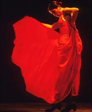 Flamenco Dancer