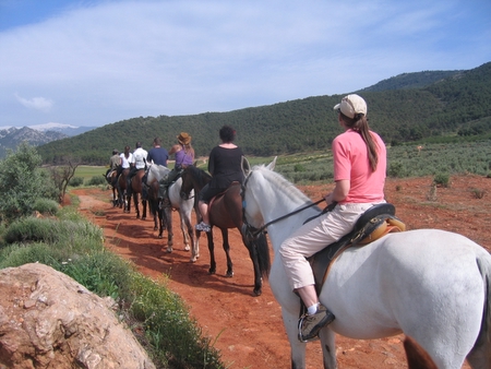 horseback riding in Sierra Nevada National Park