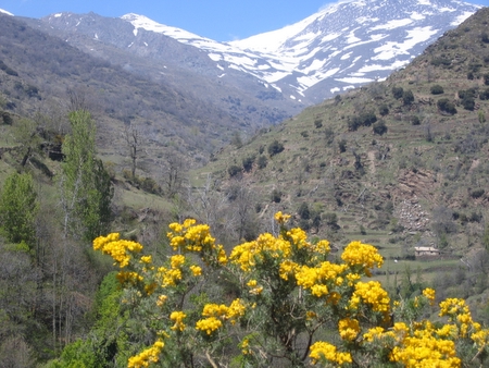 Alpujarras, Granada