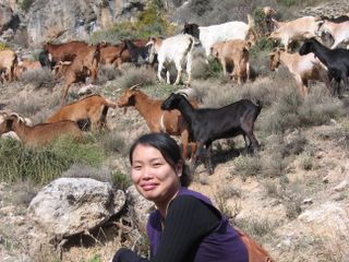 Yuki and the goats