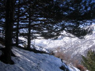 Hiking Tour in Trevélez